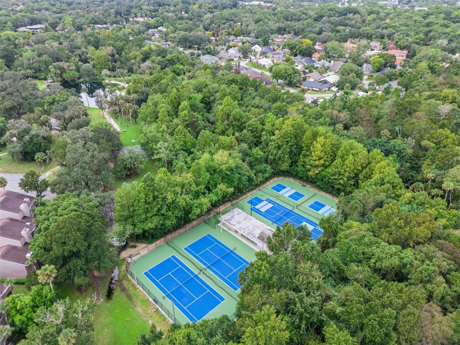 Tennis and pickle ball courts - 221 PINE CONE LN, LONGWOOD