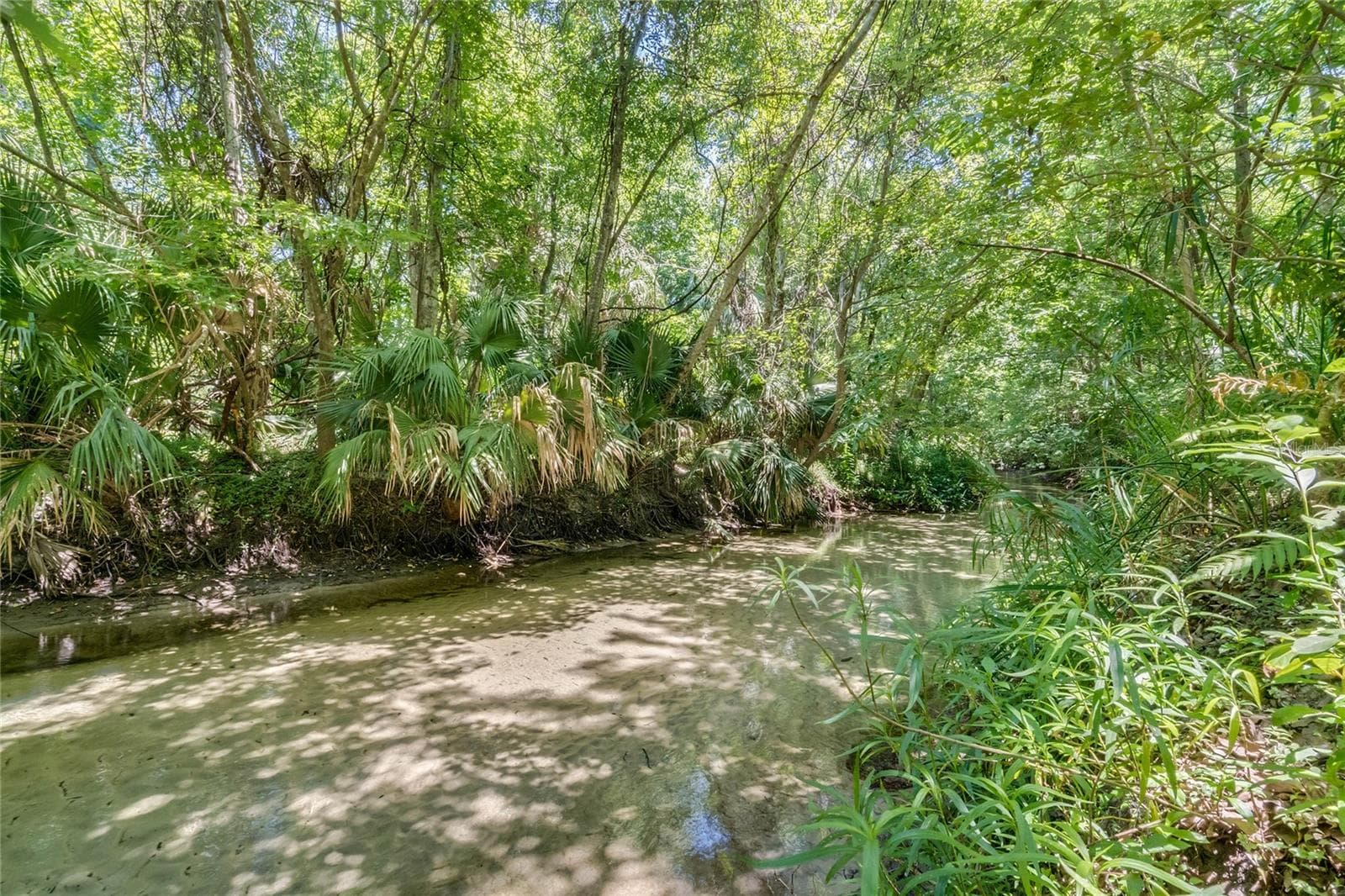 Little Wekiva River - 221 PINE CONE LN, LONGWOOD