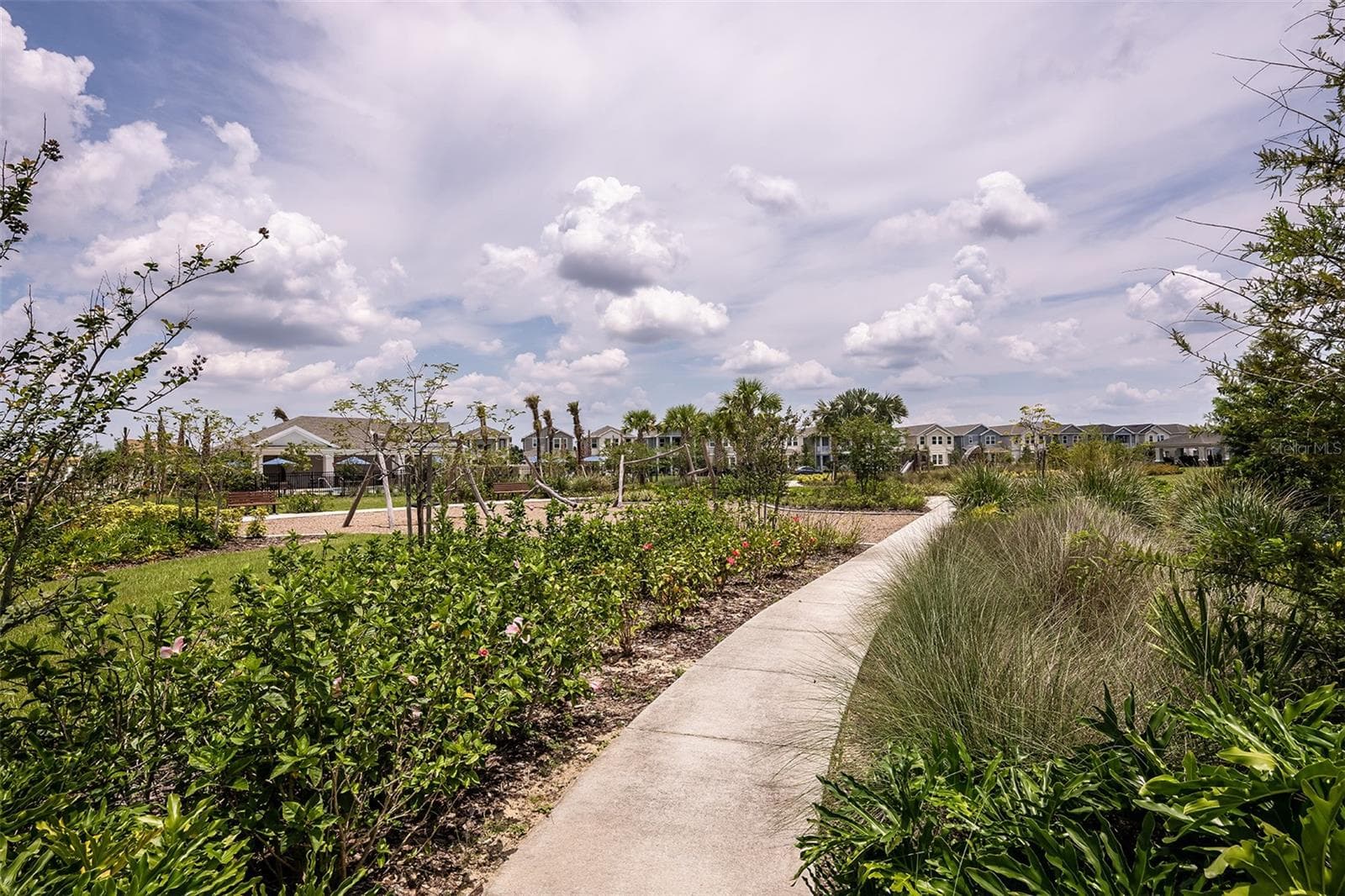Harvest at Ovation Community - 14791 FIELD DAISY DR, WINTER GARDEN