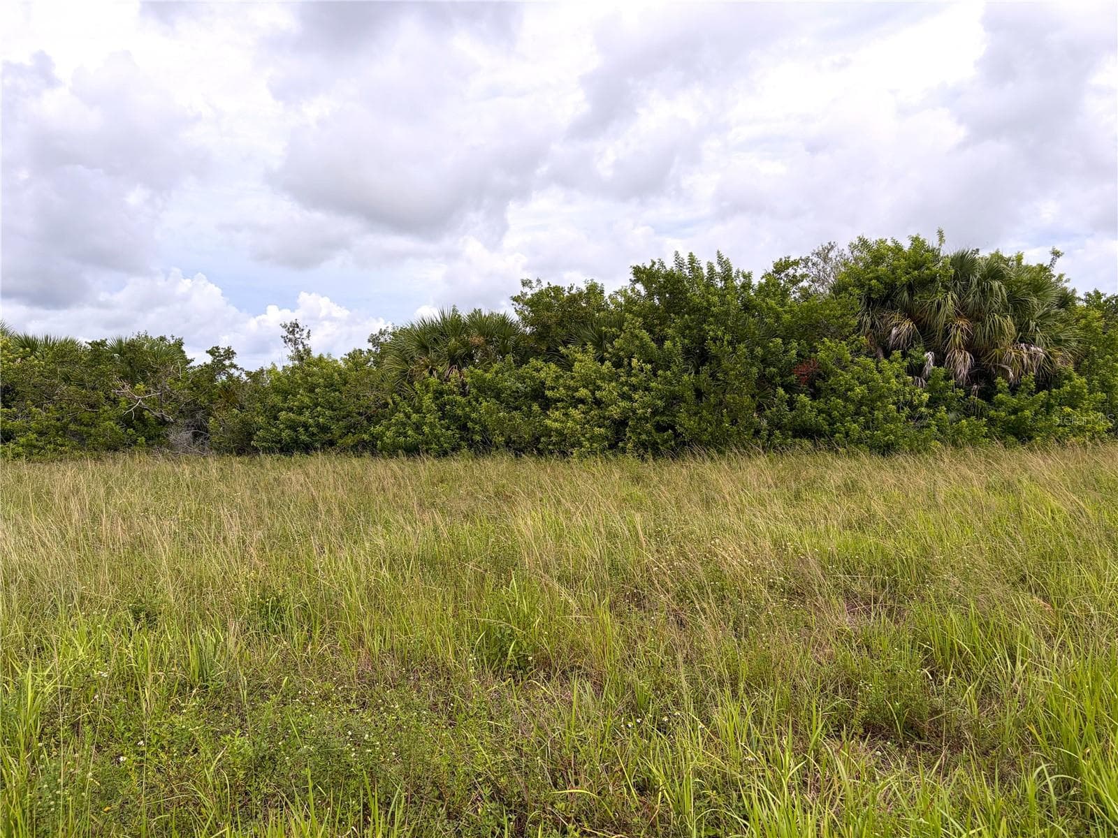 Land at 12466 SEDAN RD, PLACIDA, photo 5 of 11