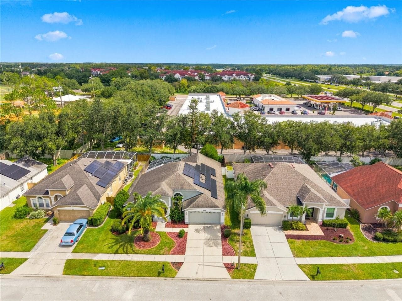 Single Family Residence at 18009 PALM BREEZE DR, TAMPA, photo 6 of 63