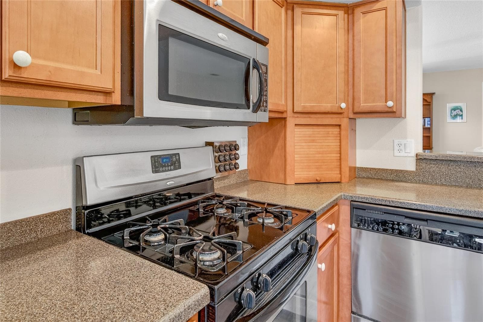 Single Family Residence at 3003 NEW HAVEN PL, MOUNT DORA, photo 13 of 76