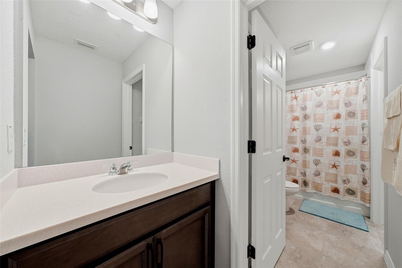 Jack N' Jill Bathroom - 11727 TETRAFIN DR, RIVERVIEW