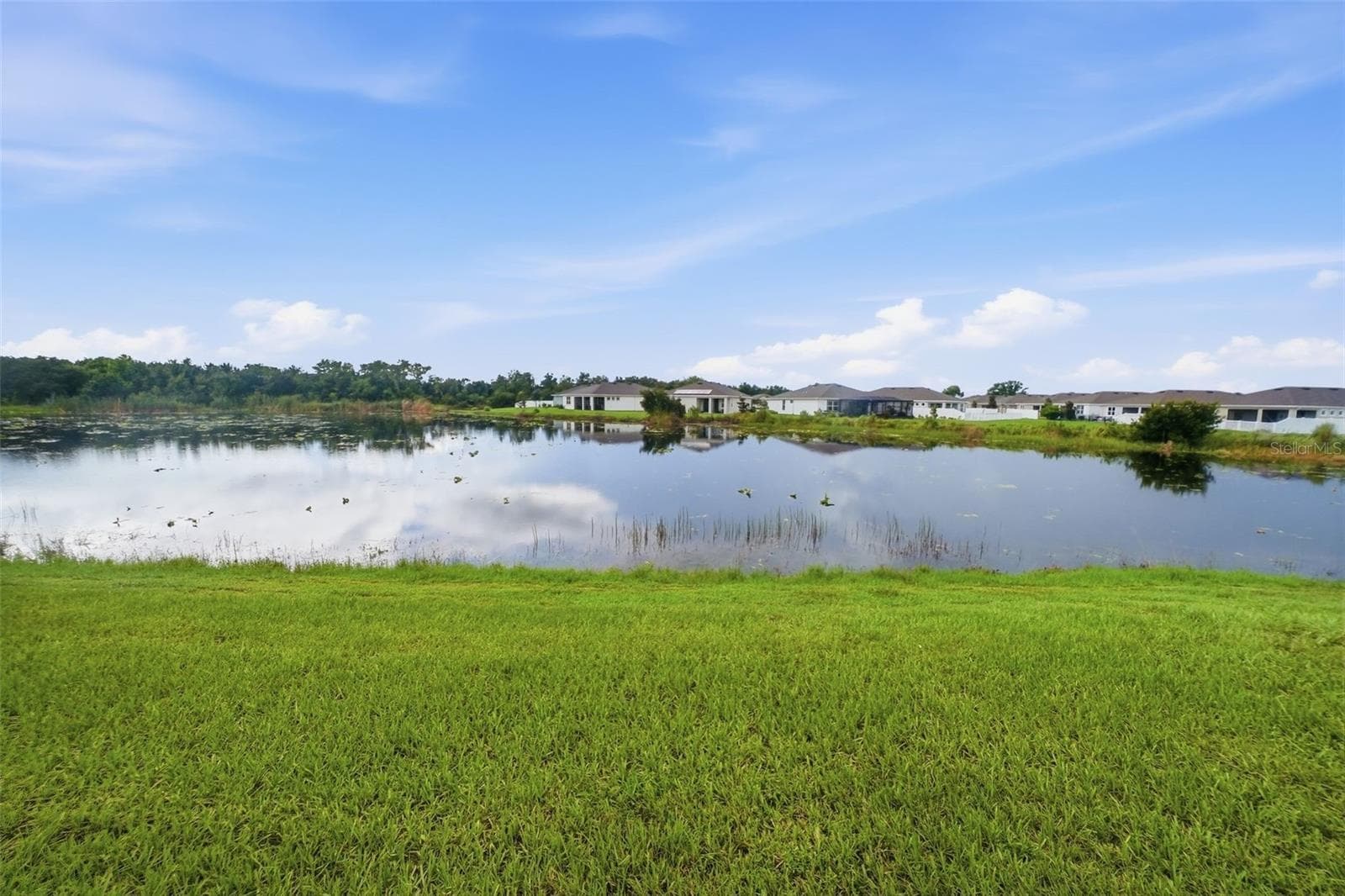Beautiful Pond View - 11727 TETRAFIN DR, RIVERVIEW