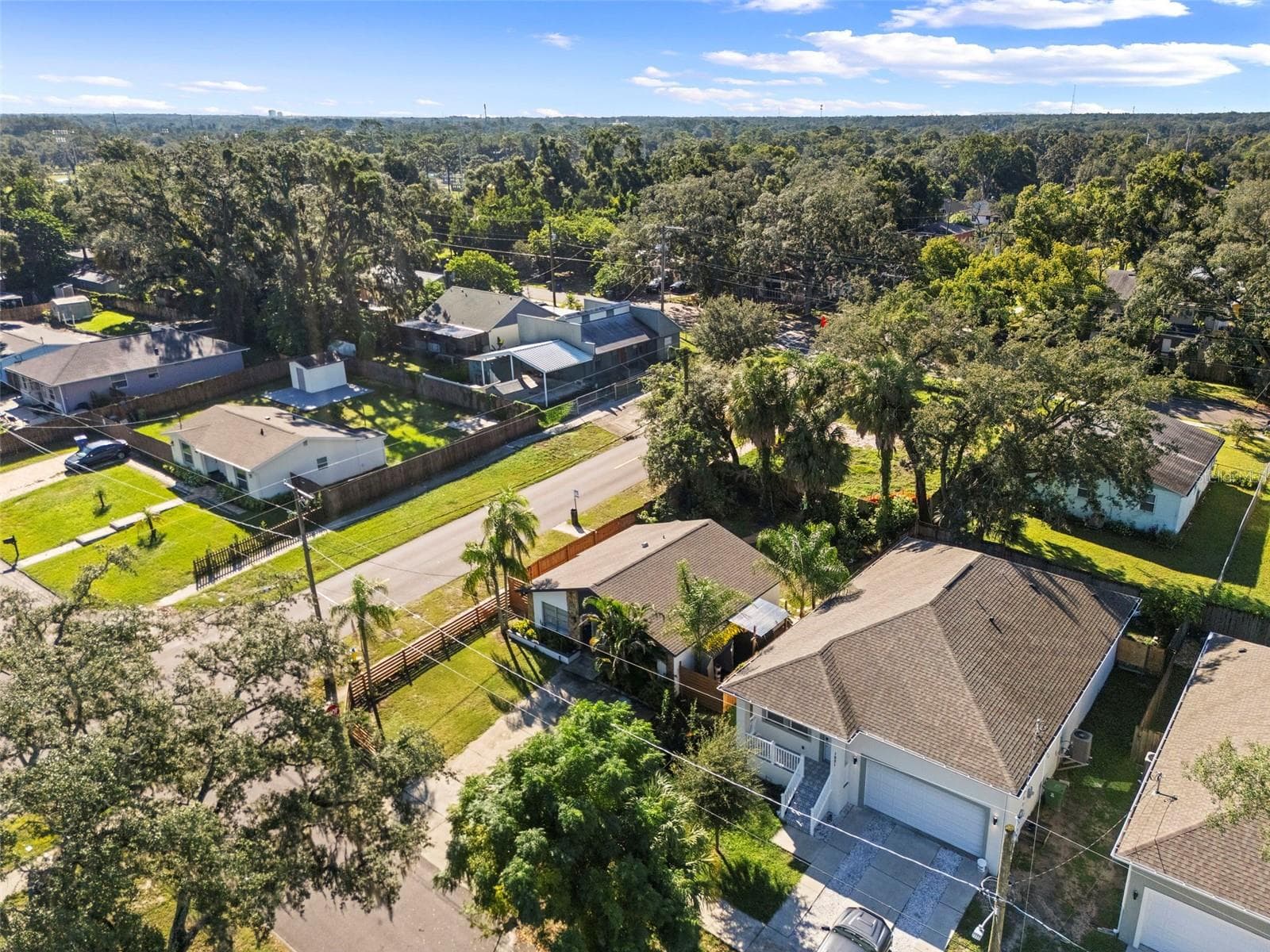 Single Family Residence at 1825 E ESKIMO AVE, TAMPA, photo 28 of 33