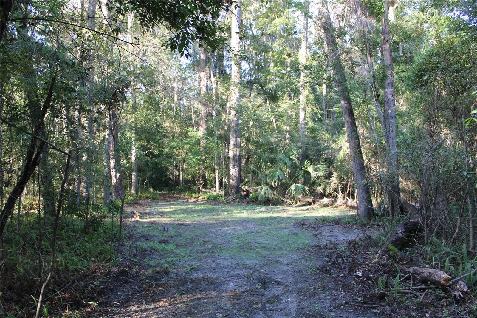 Land at 2958 NW 21ST AVE, GAINESVILLE, photo 2 of 6