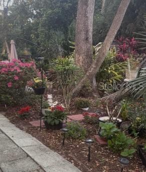 Back Patio - 200 EL CAMINO DR #102, WINTER HAVEN