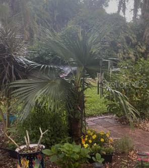 Back Patio - 200 EL CAMINO DR #102, WINTER HAVEN