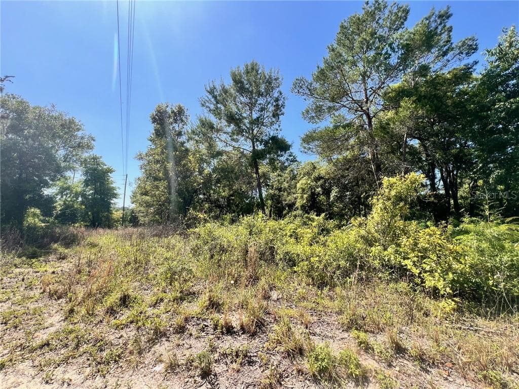 Land at 4956 E Posselt Drive, Hernando FL 34442, photo 4 of 10