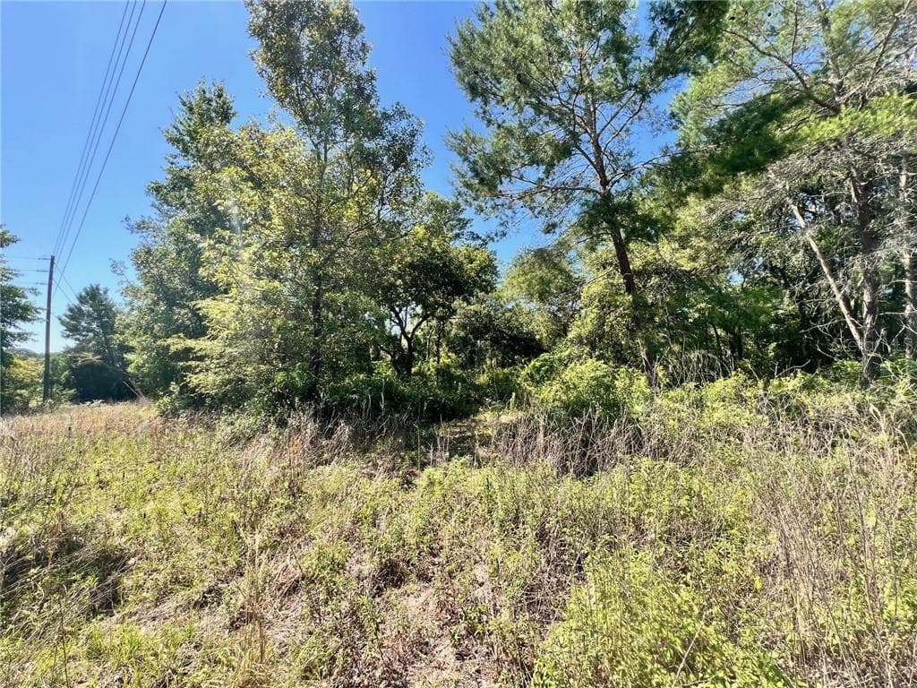 Land at 4956 E Posselt Drive, Hernando FL 34442, photo 5 of 10