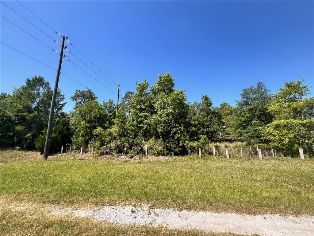 Land at 4956 E Posselt Drive, Hernando FL 34442, photo 6 of 10