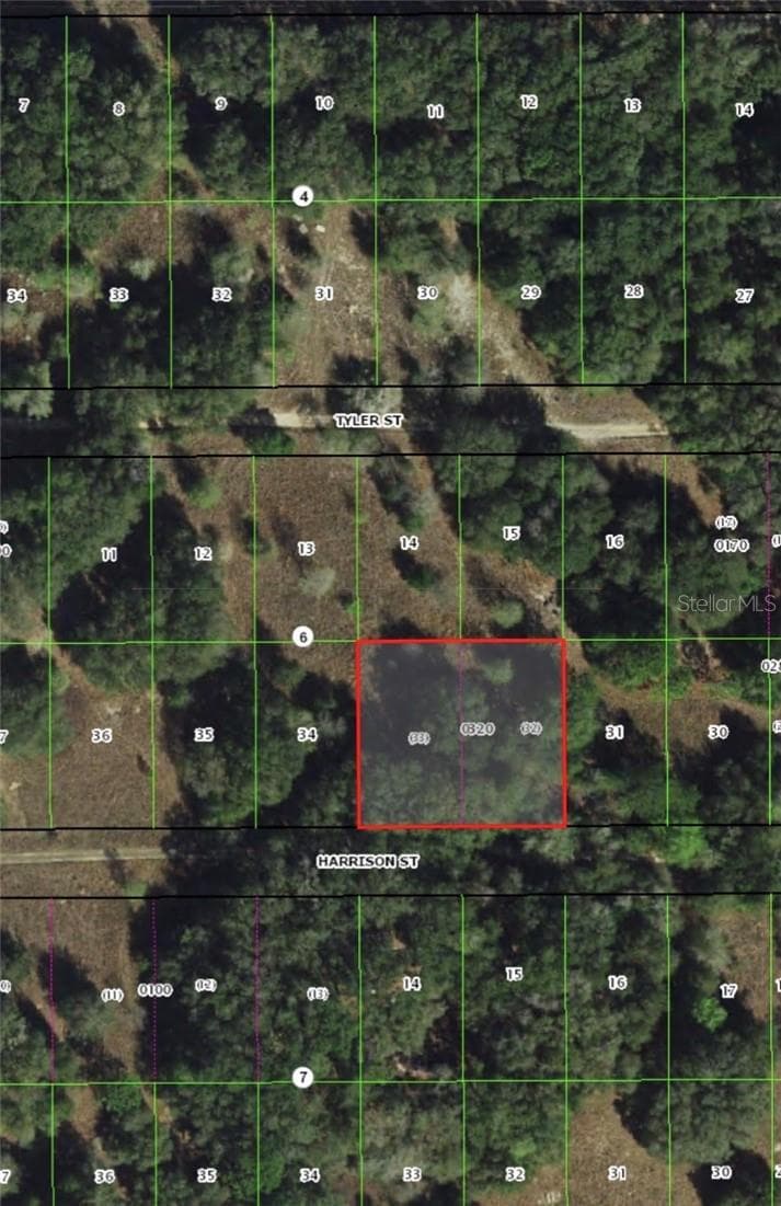 Land at 2404 Harrison ST, INVERNESS FL 34453, Inverness