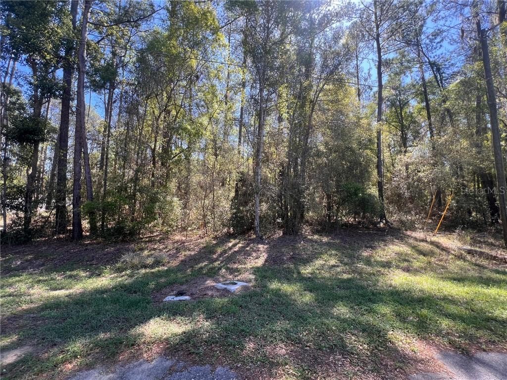 Land at 8295 N Lily DR, CITRUSSPRINGS FL 34434, Citrus Springs, photo 2 of 2