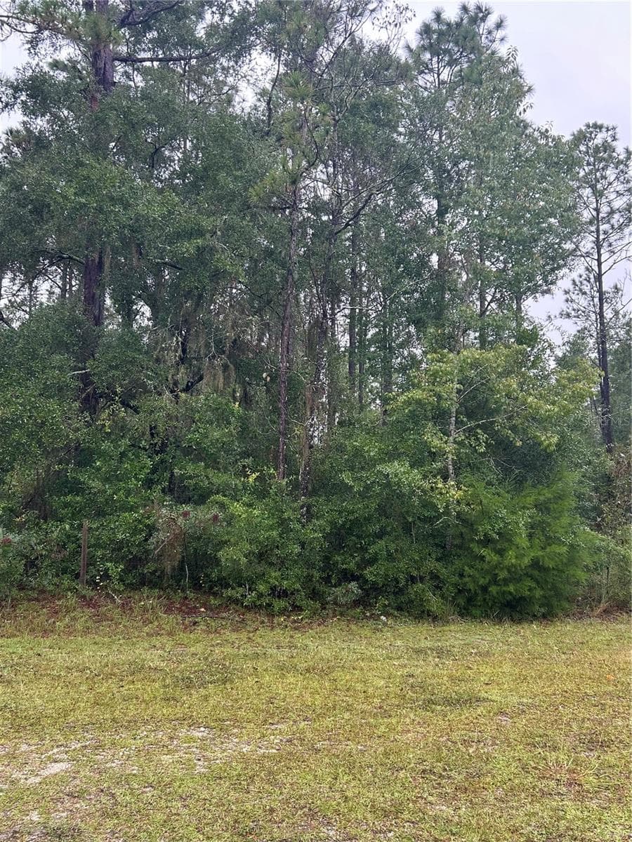 Land at TBD NE 77TH CT, BRONSON, photo 2 of 2