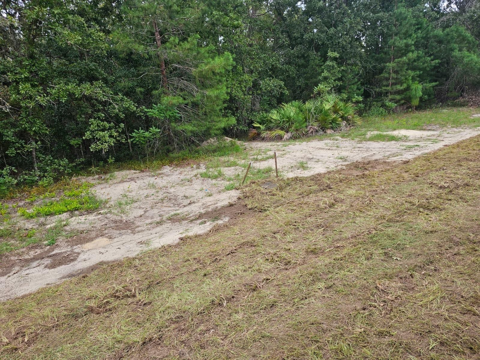 Land at TBA SE 56TH CT., OCALA, photo 3 of 6