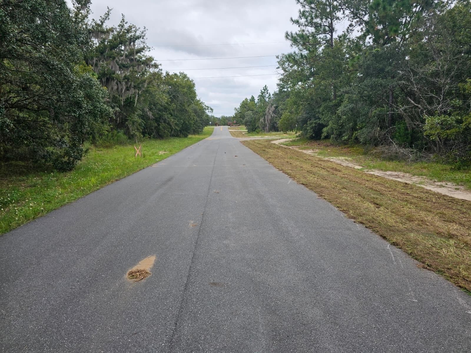 Lot is on my right and you are looking down the street. The street to the right is the Alley Road. - TBA SE 56TH CT., OCALA
