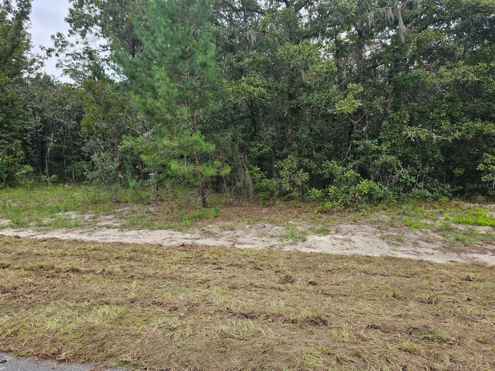 Land at TBA SE 56TH CT., OCALA, photo 5 of 6