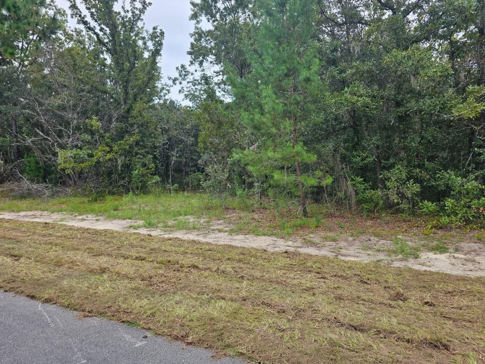 Lot is 120 ft of road frontage and 200 feet deep. - TBA SE 56TH CT., OCALA