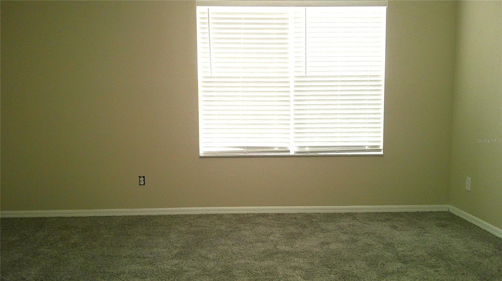 Townhouse at 5718 FISHHAWK RIDGE DR, LITHIA, photo 15 of 26