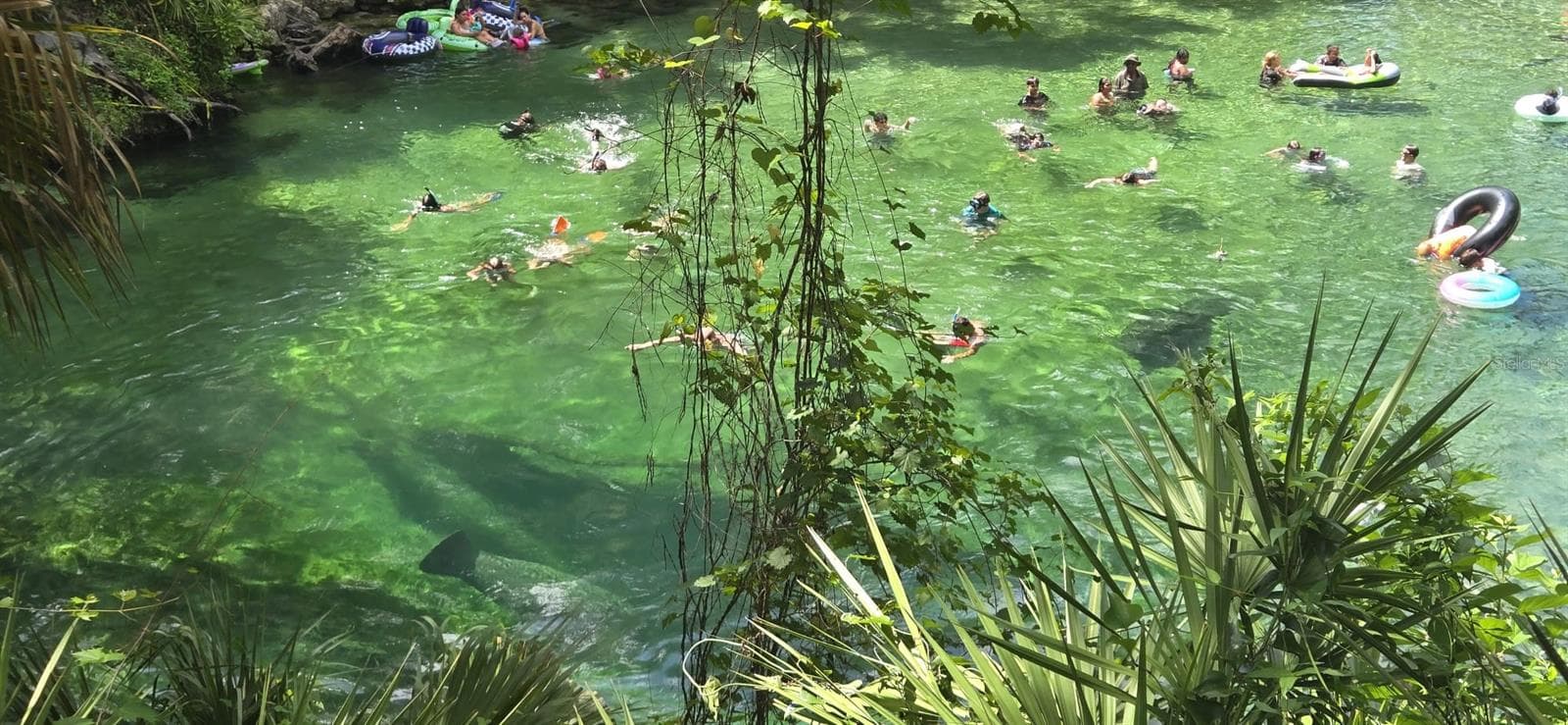 BLUE SPRINGS - 2870 IDLEWEISE DR, DELTONA