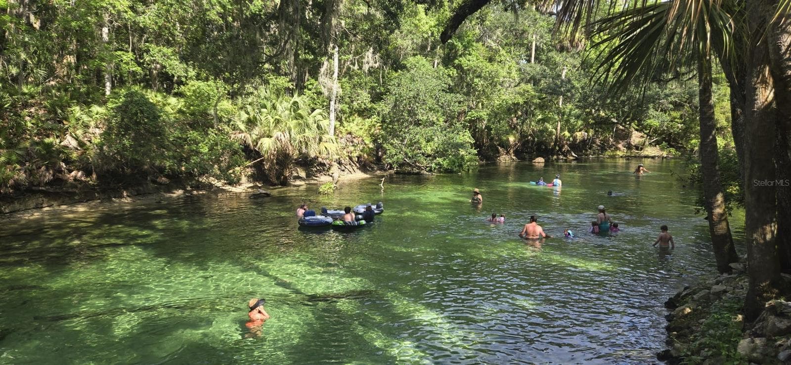 BLUE SPRINGS - 2870 IDLEWEISE DR, DELTONA