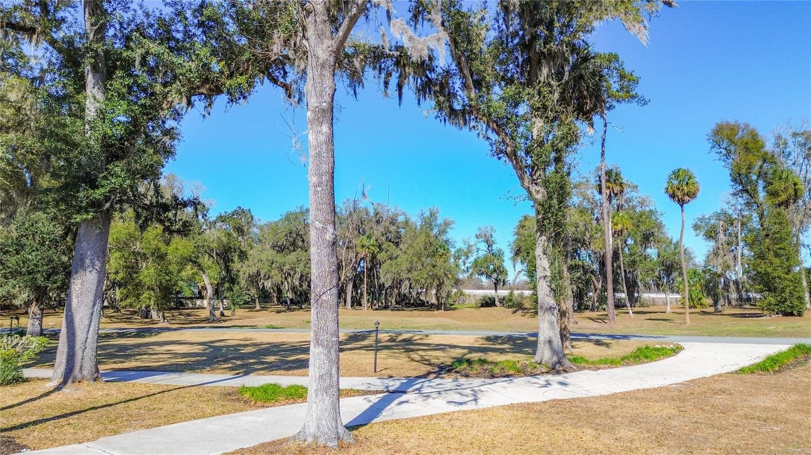 Single Family Residence at 3575 SW 24TH AVENUE RD, OCALA, photo 82 of 100