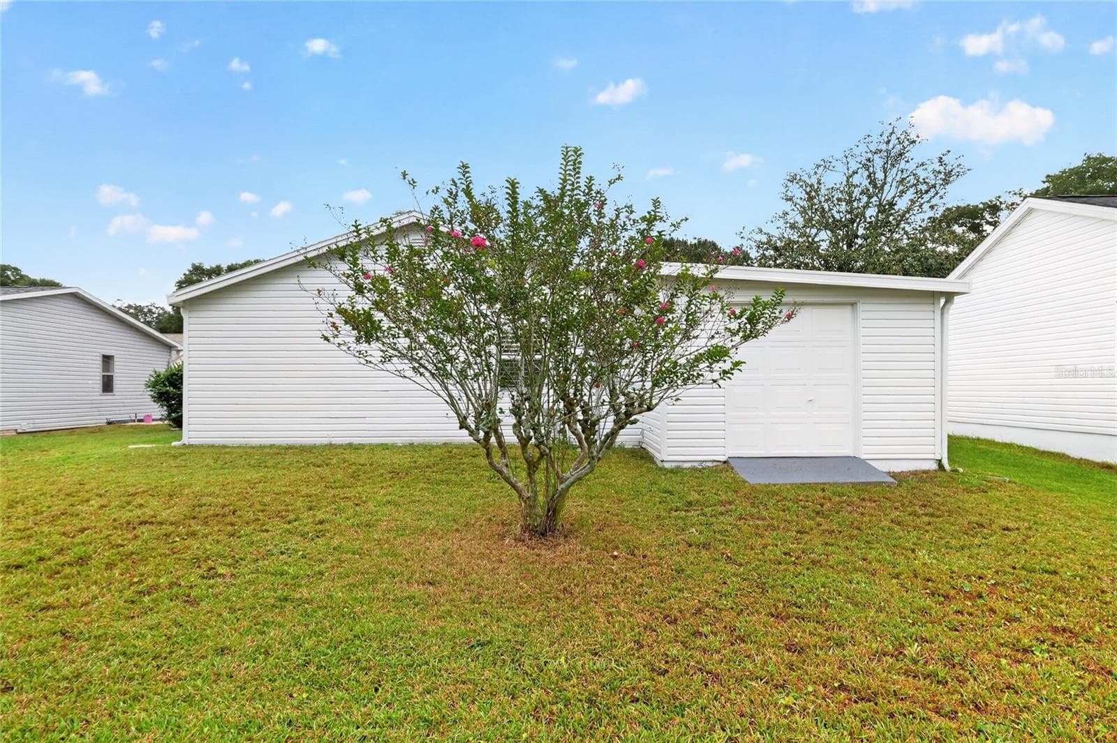 Backyard - 1124 DEL TORO DR, LADY LAKE