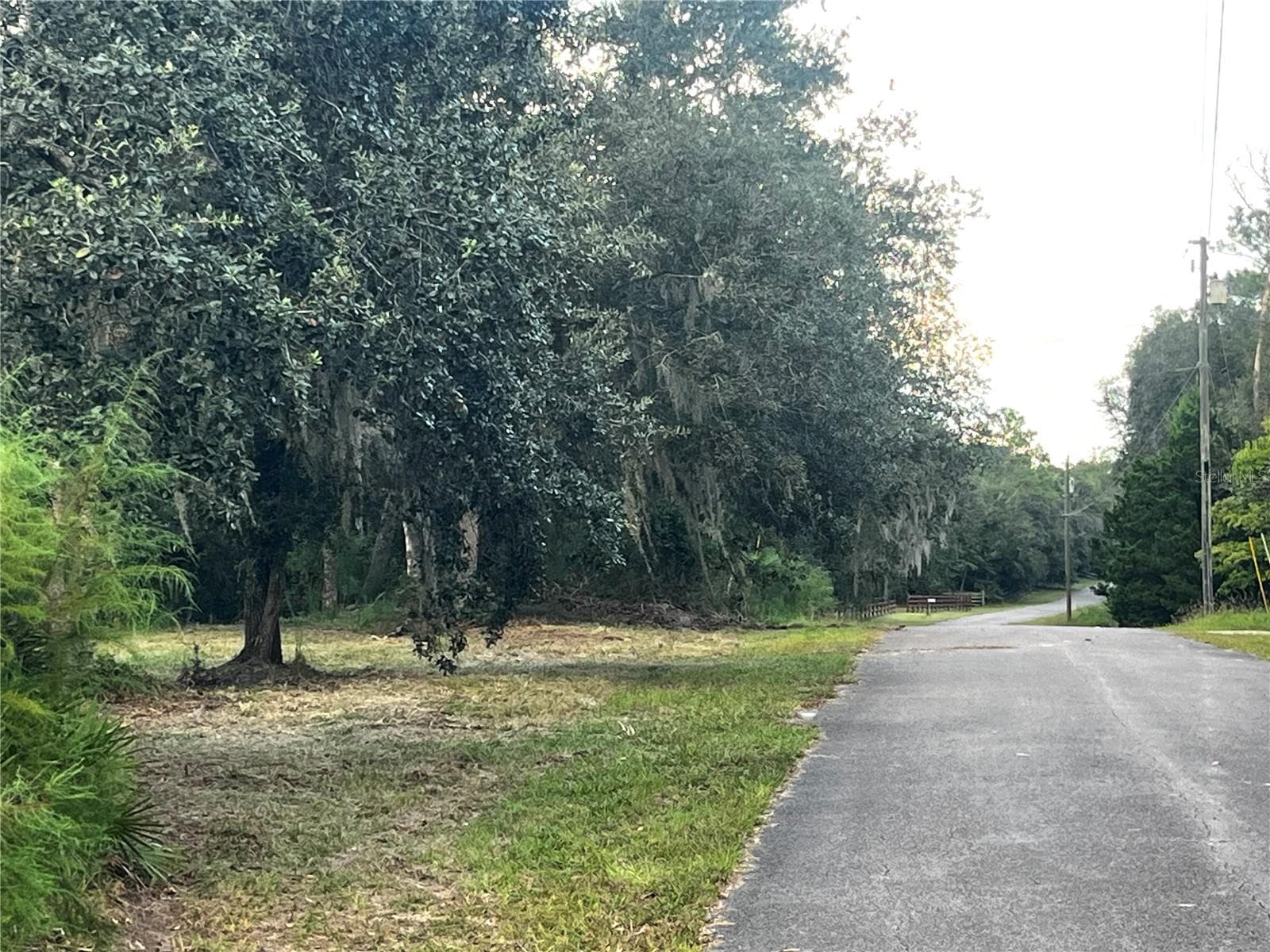 Land at CANAL ST, FANNING SPRINGS, photo 9 of 15