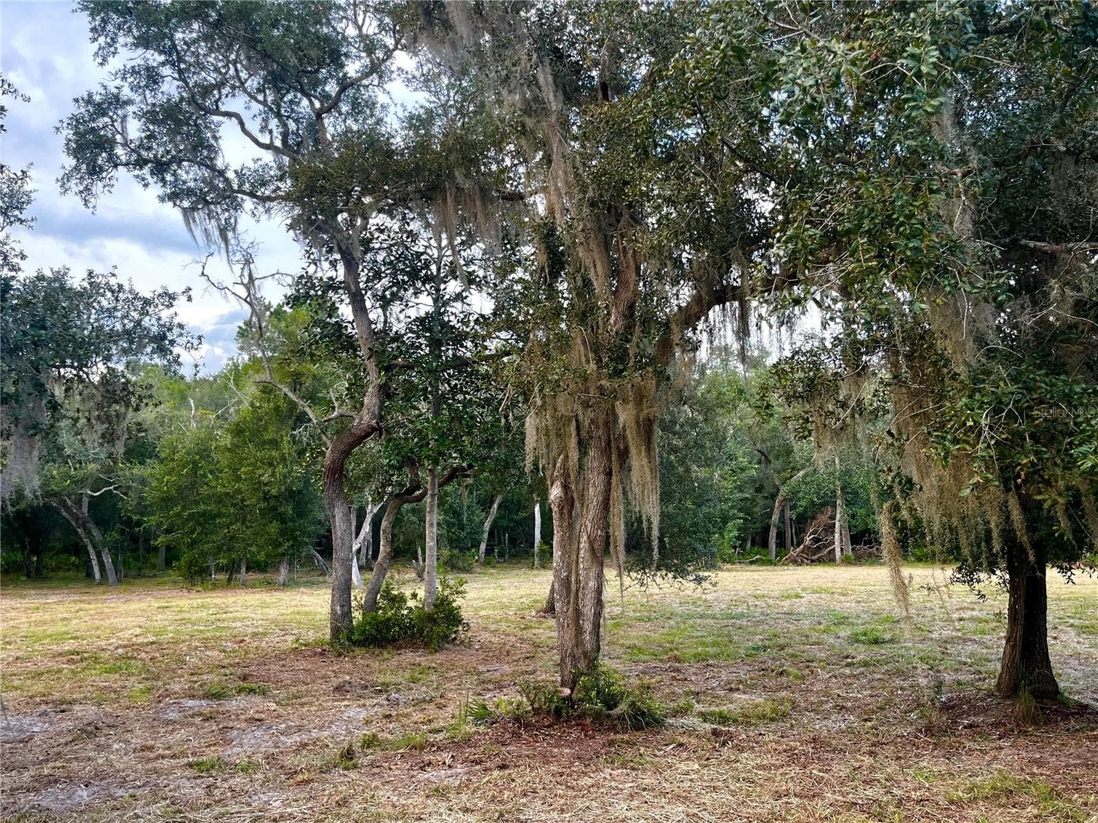 Land at CANAL ST, FANNING SPRINGS, photo 10 of 15