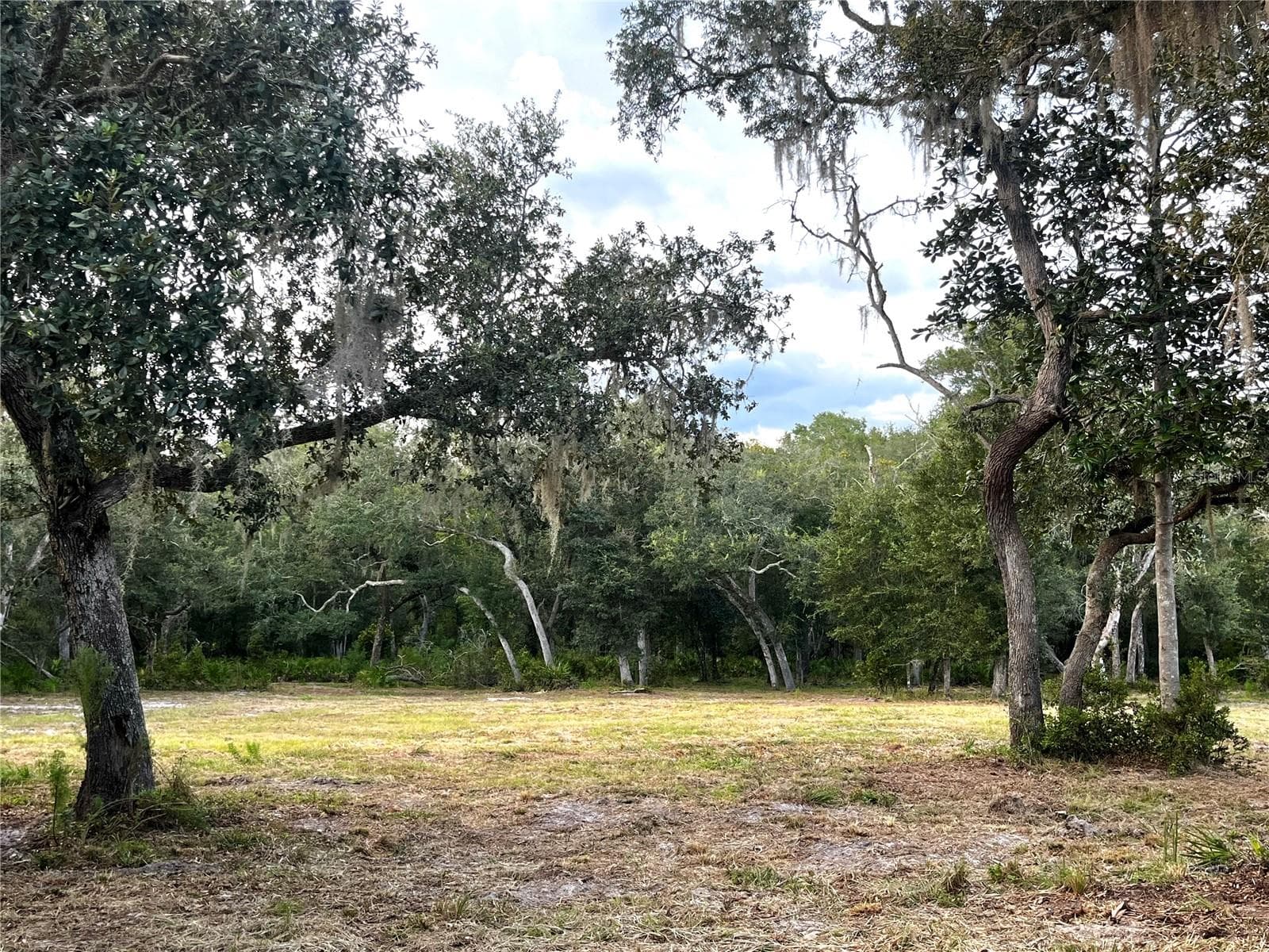 Land at CANAL ST, FANNING SPRINGS, photo 11 of 15
