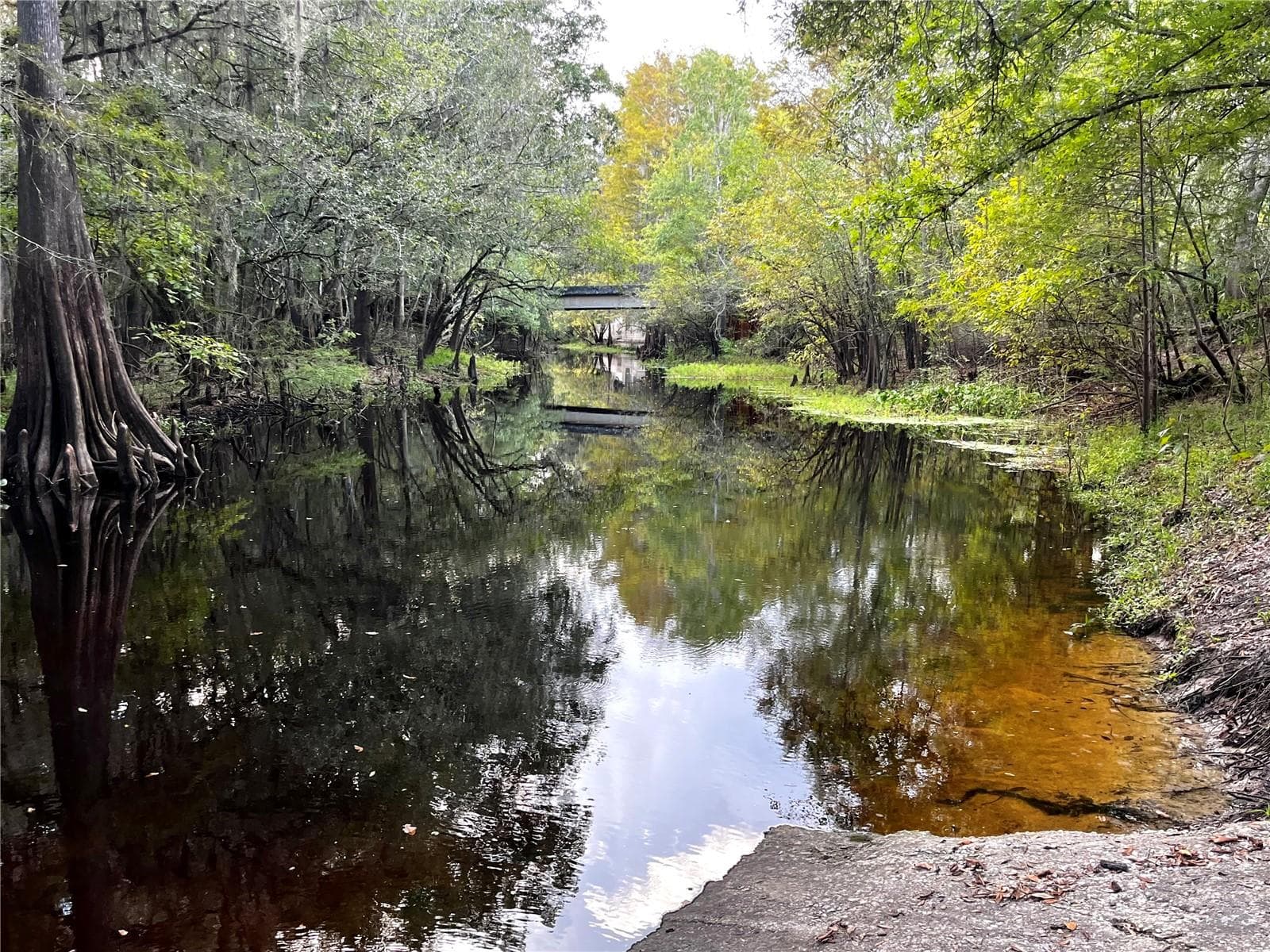 Land at CANAL ST, FANNING SPRINGS, photo 14 of 15
