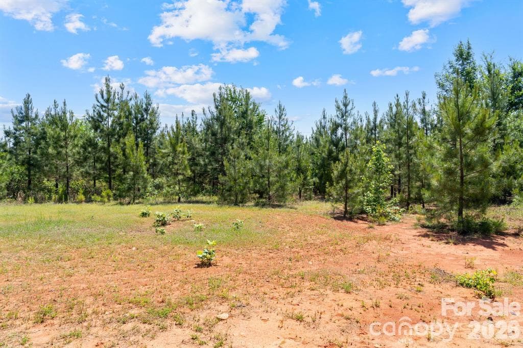 Acreage at 0000 Cool Branch Road, Carlisle, photo 21 of 21