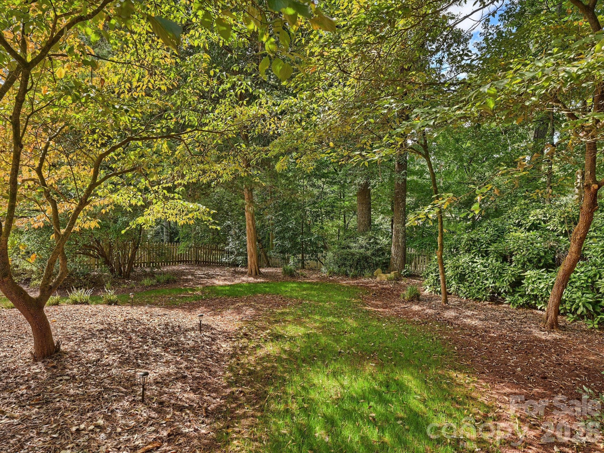 Backyard - 11925 Braid Hills Drive, Charlotte