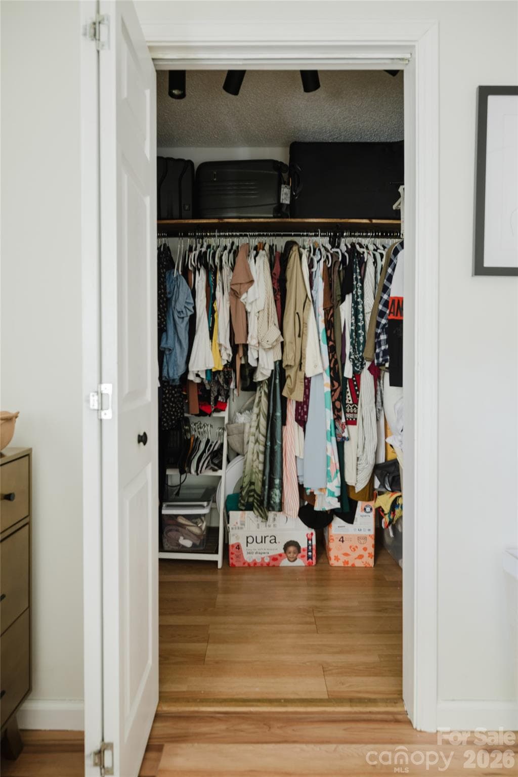 Walk in closet in the primary bedroom - 91 Crestview Street, Canton