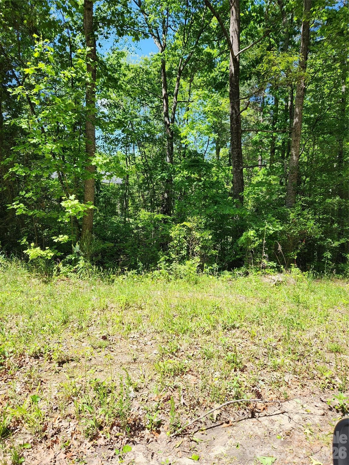 Lot at 9 Tadpole Lane, Taylorsville, photo 2 of 2