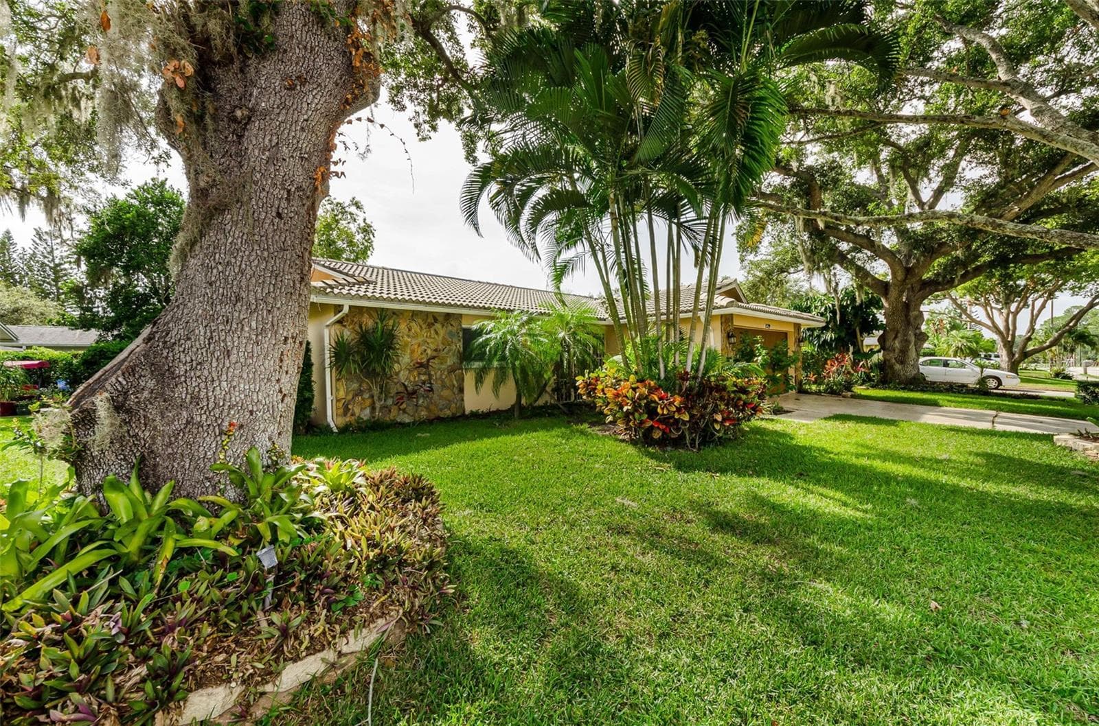 Single Family Residence at 1529 E DORCHESTER DR, PALM HARBOR, photo 3 of 20
