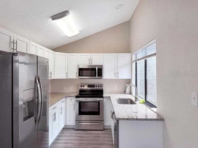 Single Family Residence at 12233 SADDLE STRAP ROW, HUDSON, photo 7 of 38
