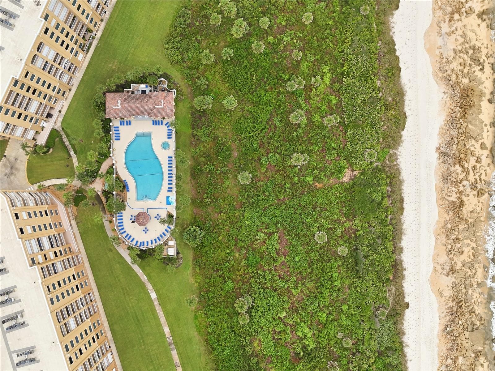 From above, the coastline reveals itself — pool, palms, and the ocean's edge - 80 SURFVIEW DR #524, PALM COAST