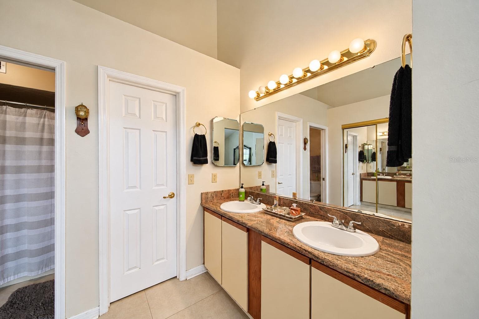 primary-vanity - 136 JUNIPER WAY, TAVARES