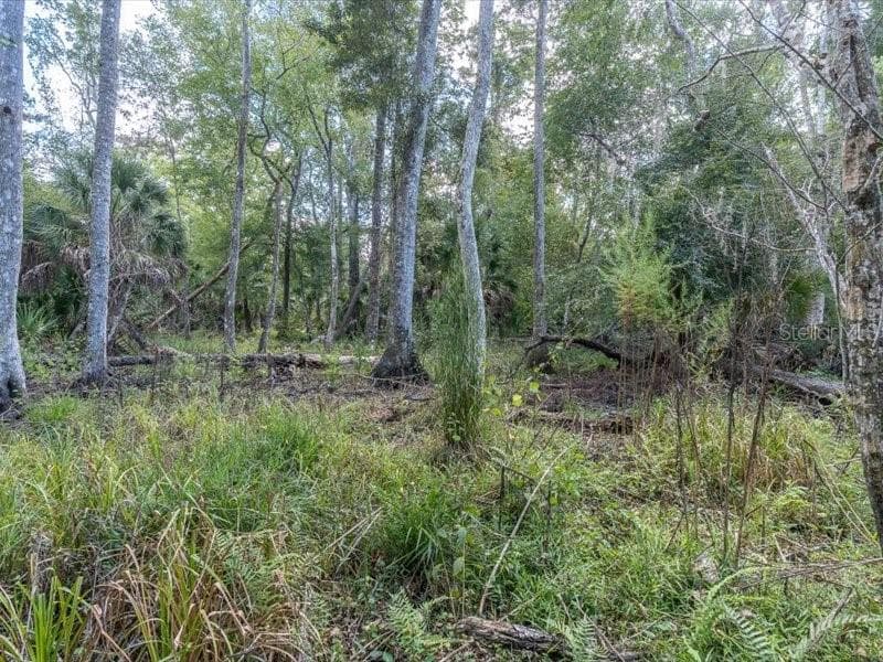Single Family Residence at 11211 PINE FOREST DR, NEW PORT RICHEY, photo 44 of 47