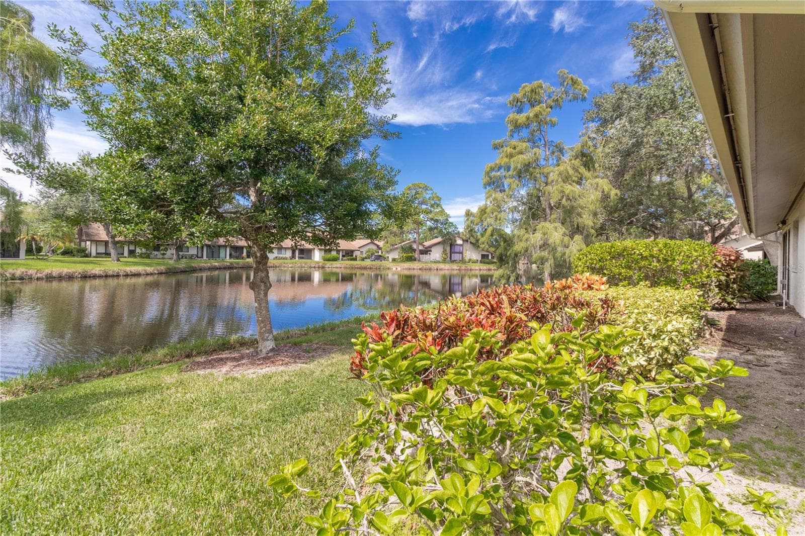 View from Back Porch - 3123 SANDLEHEATH #4, SARASOTA