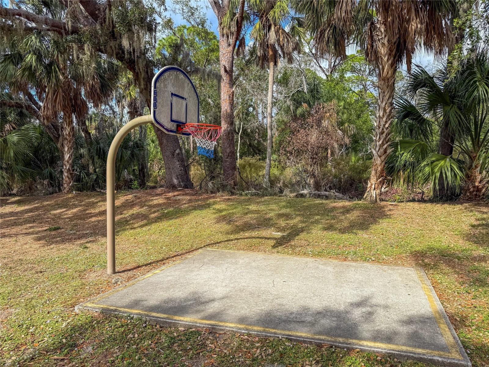 MCA Playground - 3123 SANDLEHEATH #4, SARASOTA