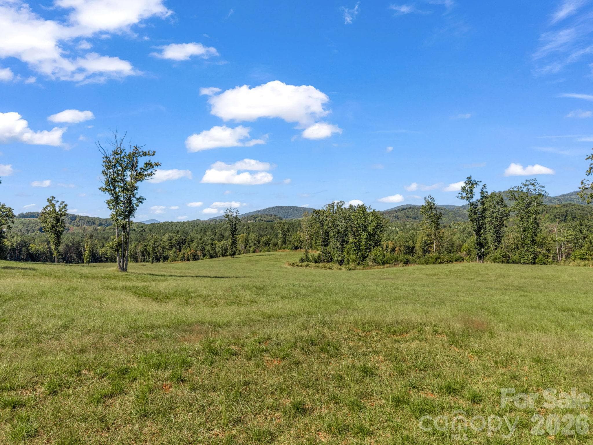 Acreage at 221, 219 McNeilly Road, Casar, photo 5 of 29