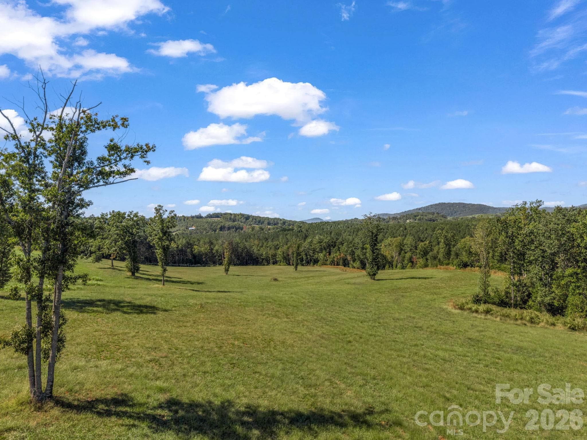 Acreage at 221, 219 McNeilly Road, Casar, photo 6 of 29