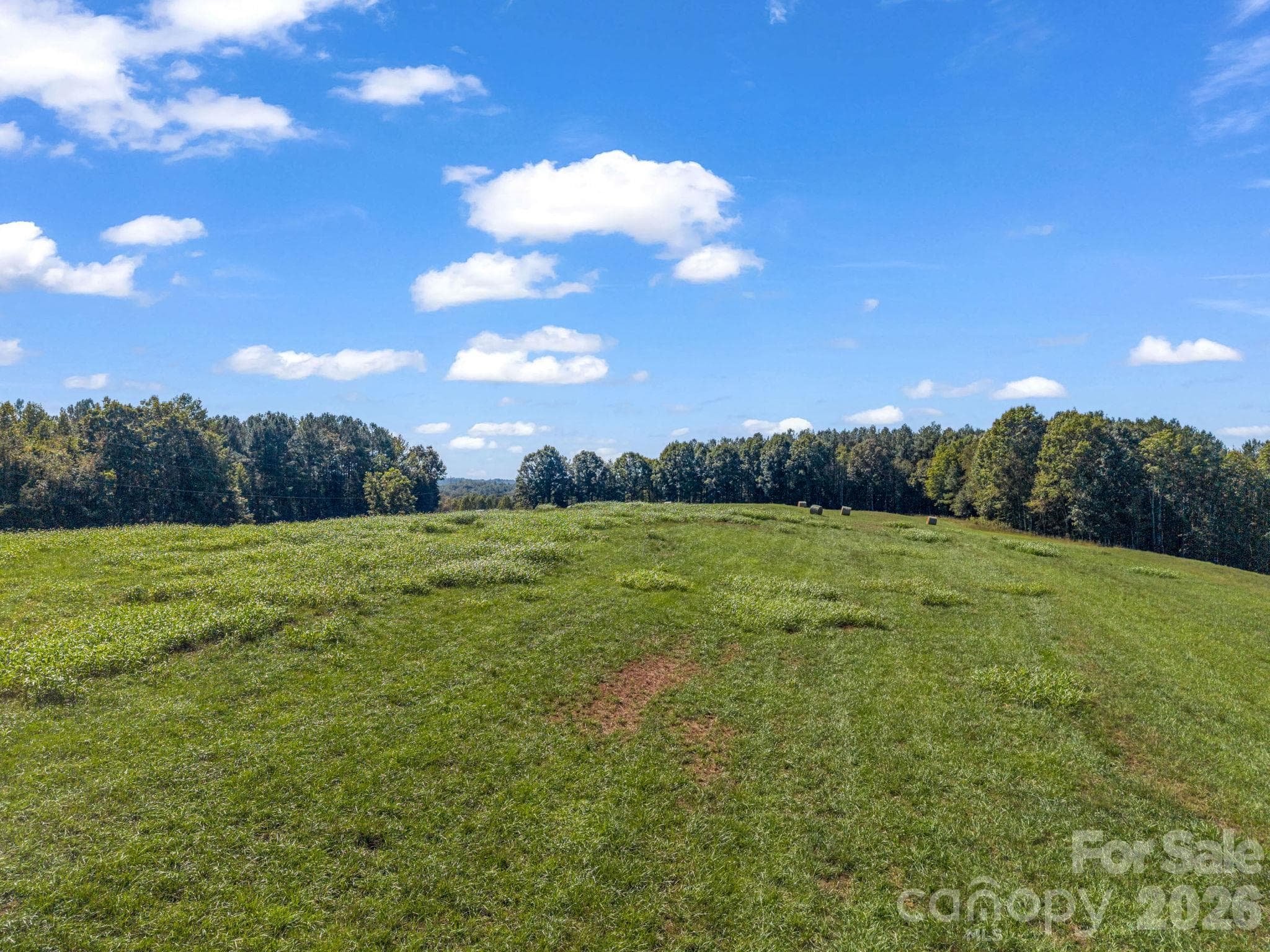 Acreage at 221, 219 McNeilly Road, Casar, photo 7 of 29
