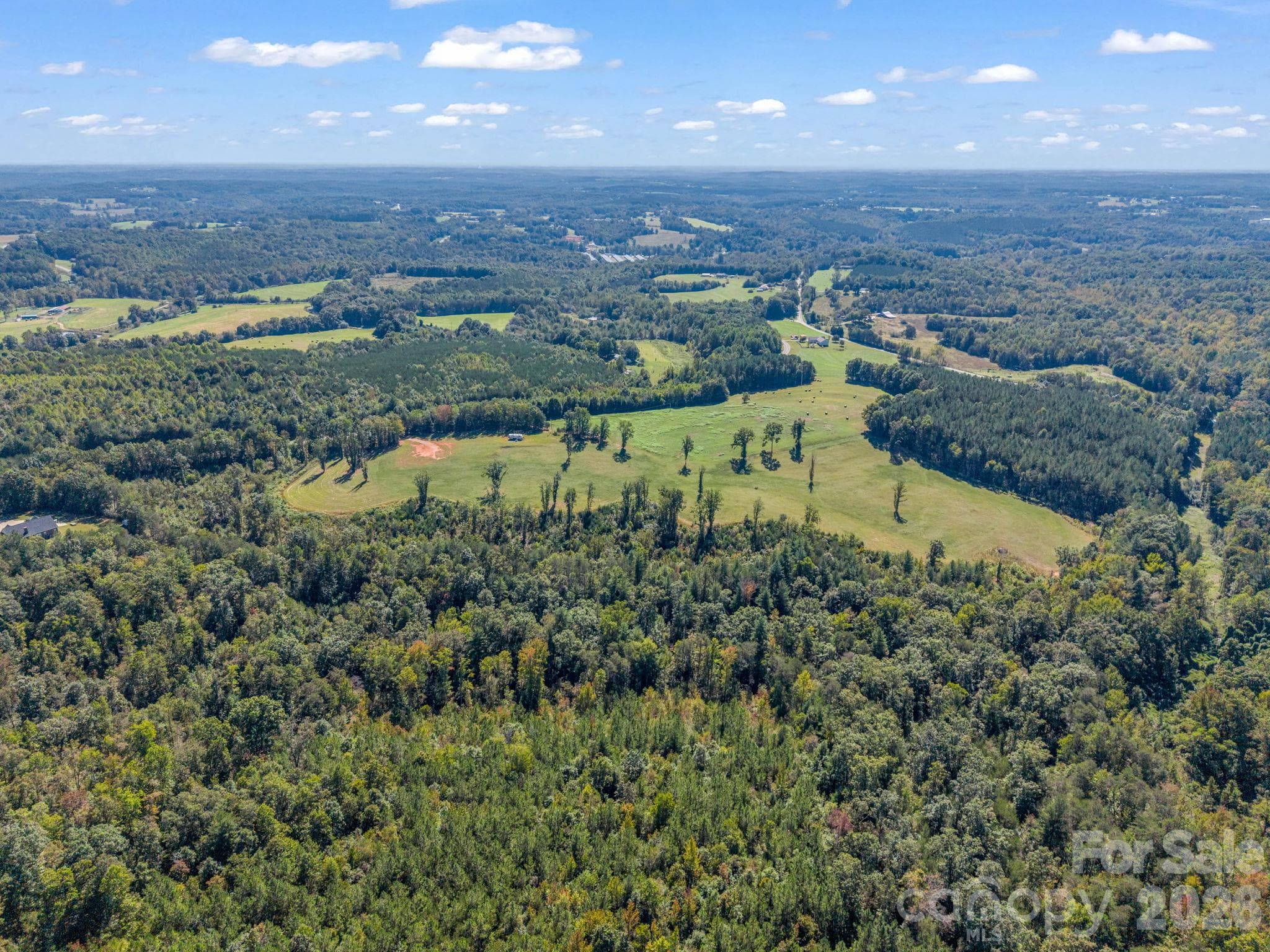 Acreage at 221, 219 McNeilly Road, Casar, photo 12 of 29