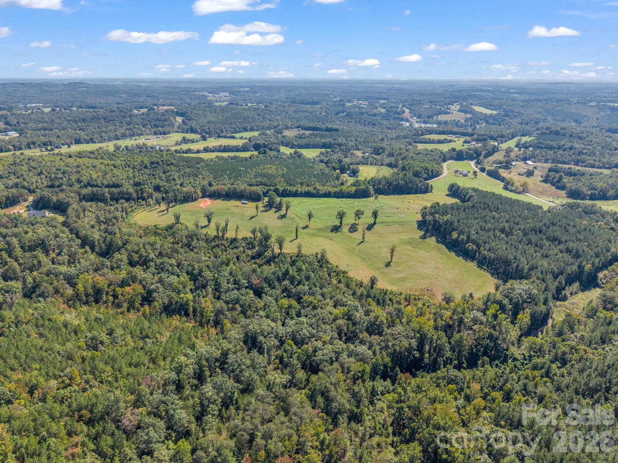 Acreage at 221, 219 McNeilly Road, Casar, photo 13 of 29
