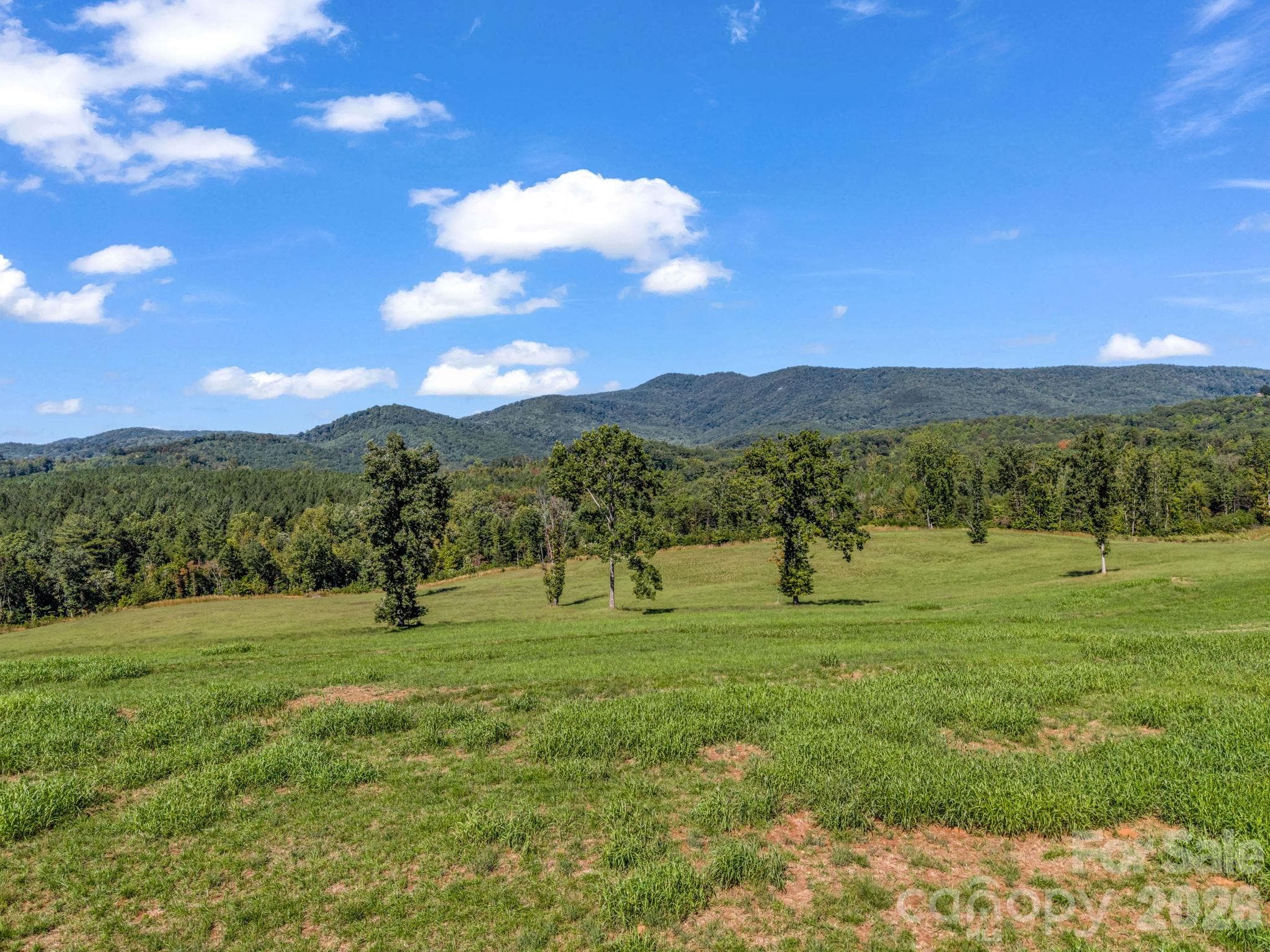 Acreage at 221, 219 McNeilly Road, Casar, photo 18 of 29