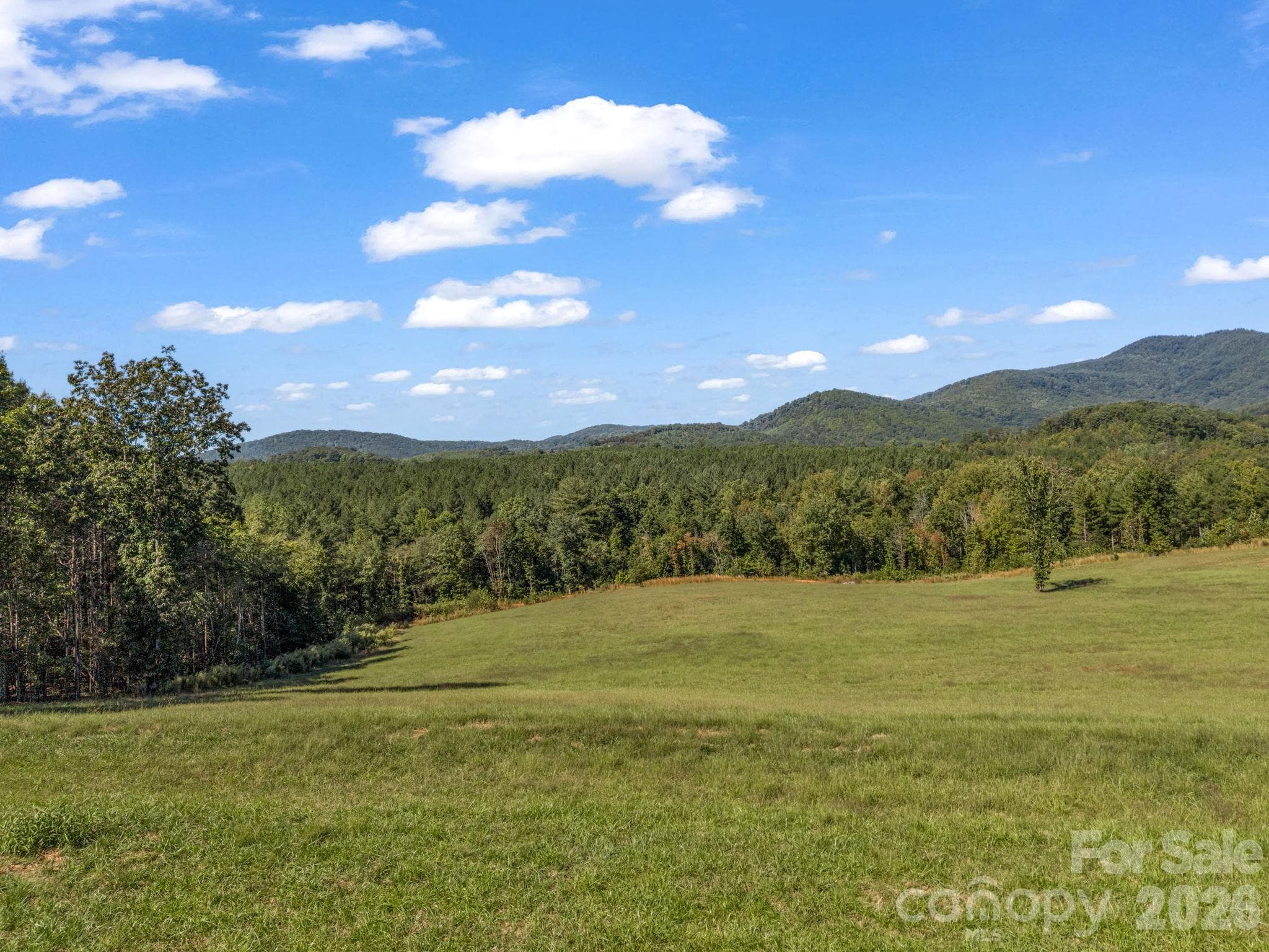 Acreage at 221, 219 McNeilly Road, Casar, photo 2 of 29