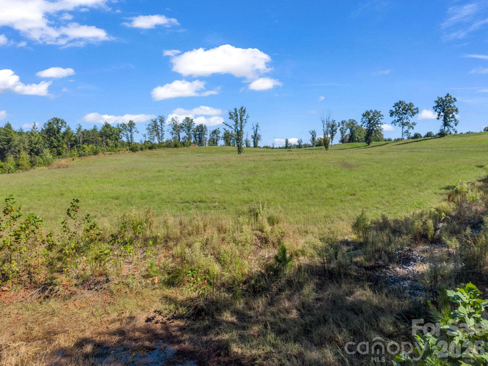 Acreage at 221, 219 McNeilly Road, Casar, photo 19 of 29